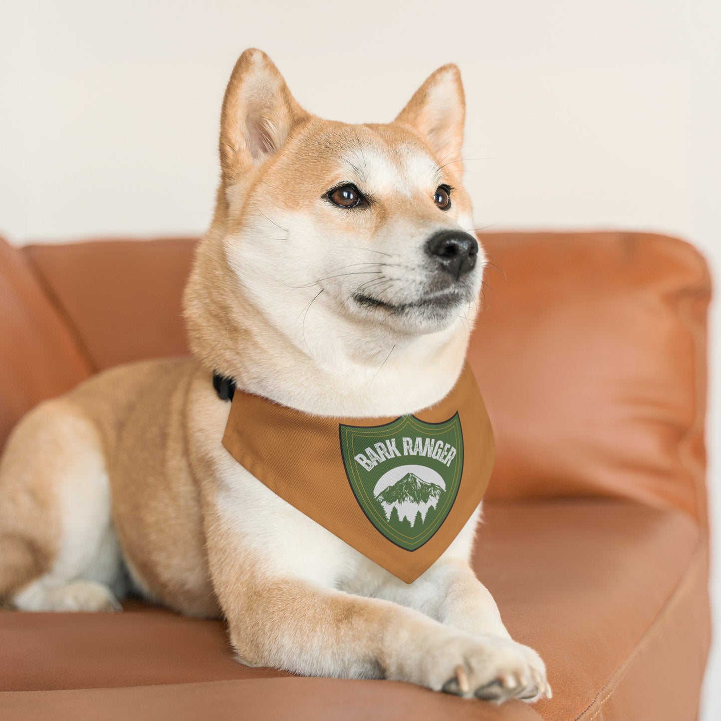 Bark Ranger Bandana Collar