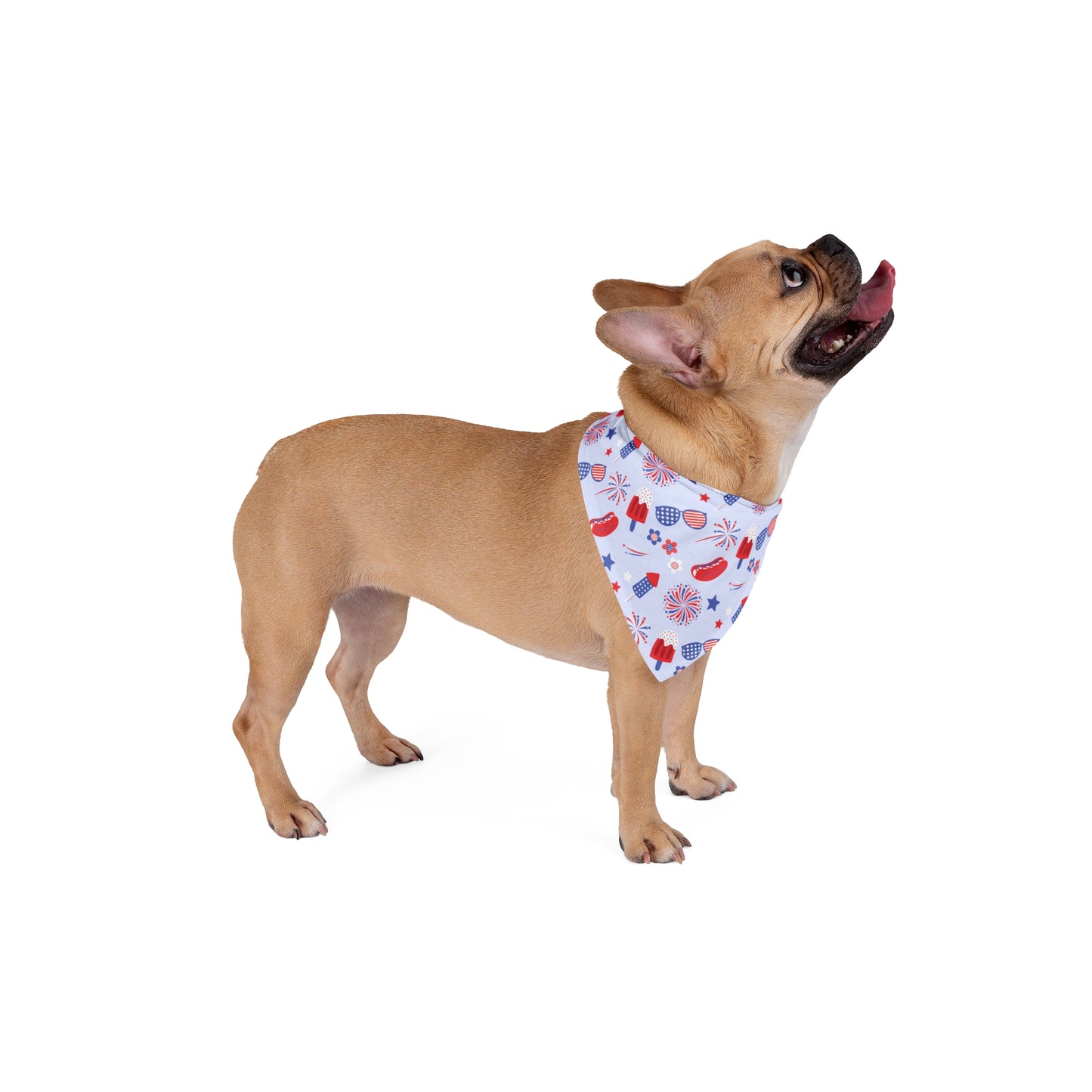 4th of July Tie On Bandana