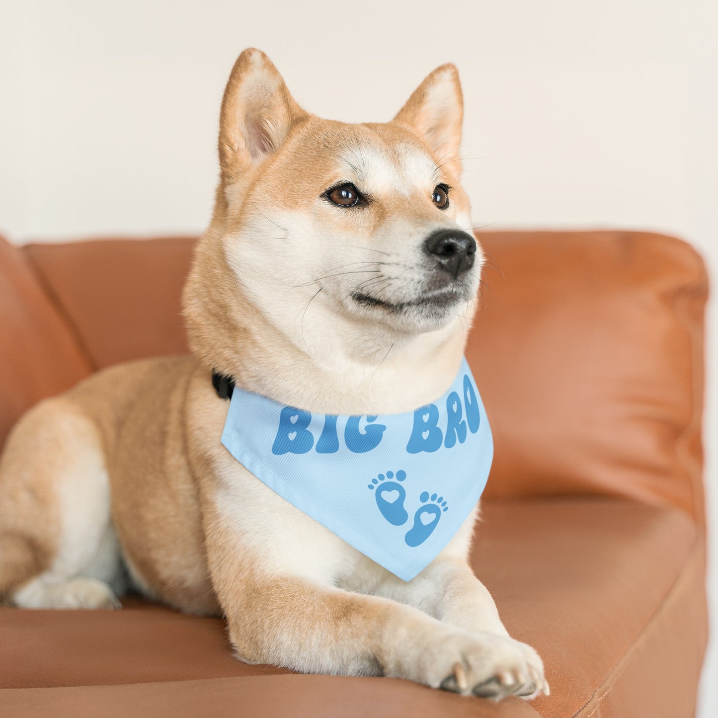 Big Bro Bandana Collar