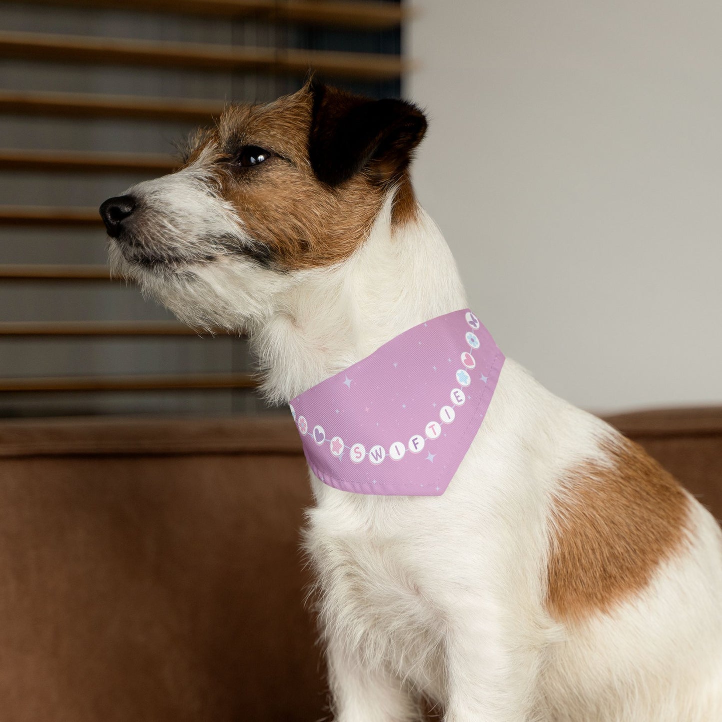 Swiftie Bracelet Bandana Collar