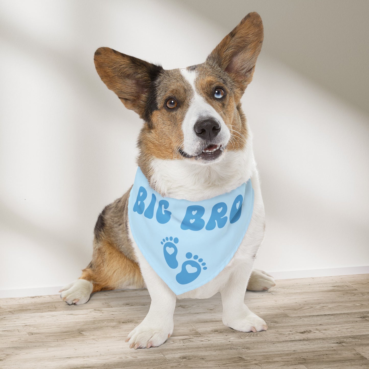 Big Bro Bandana Collar