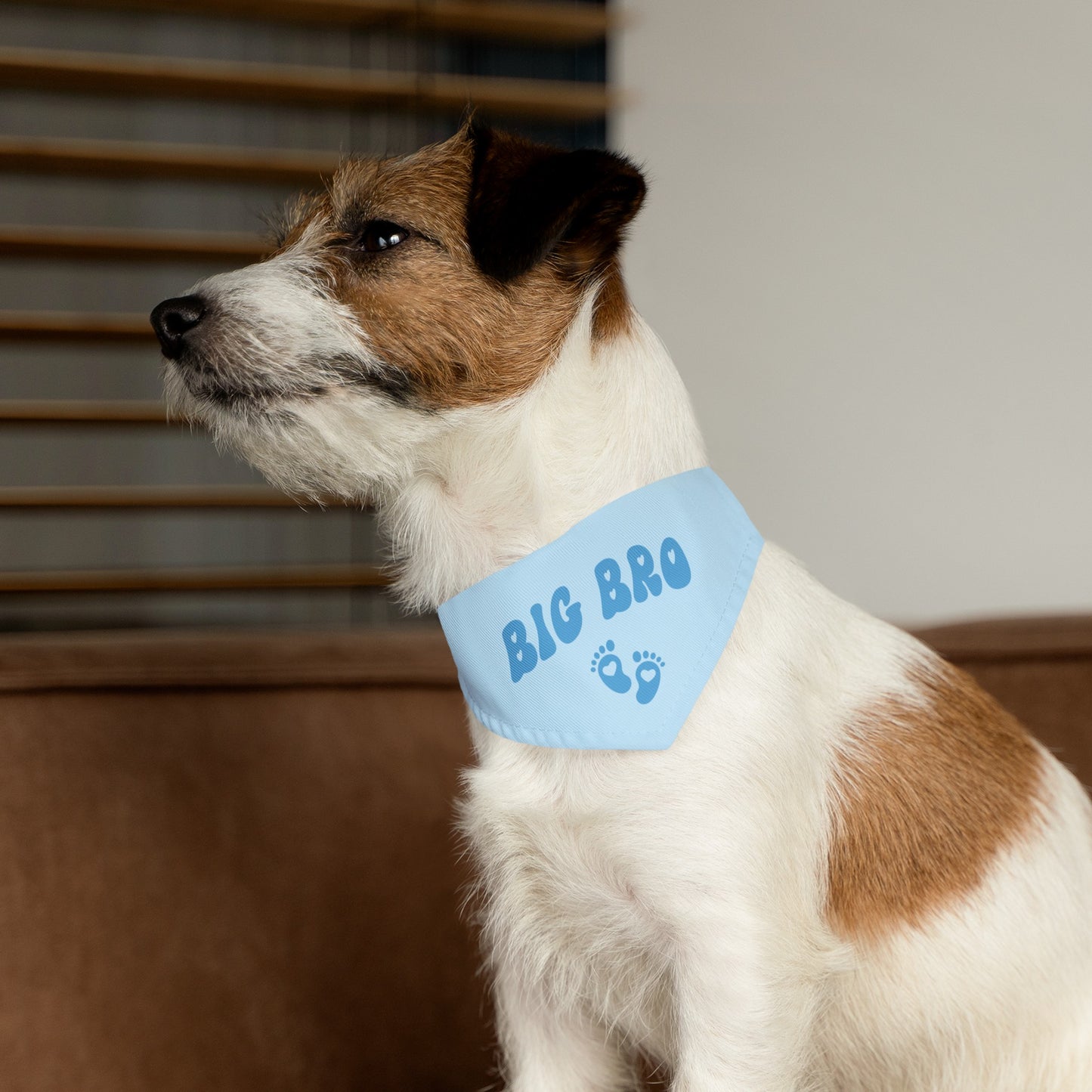Big Bro Bandana Collar