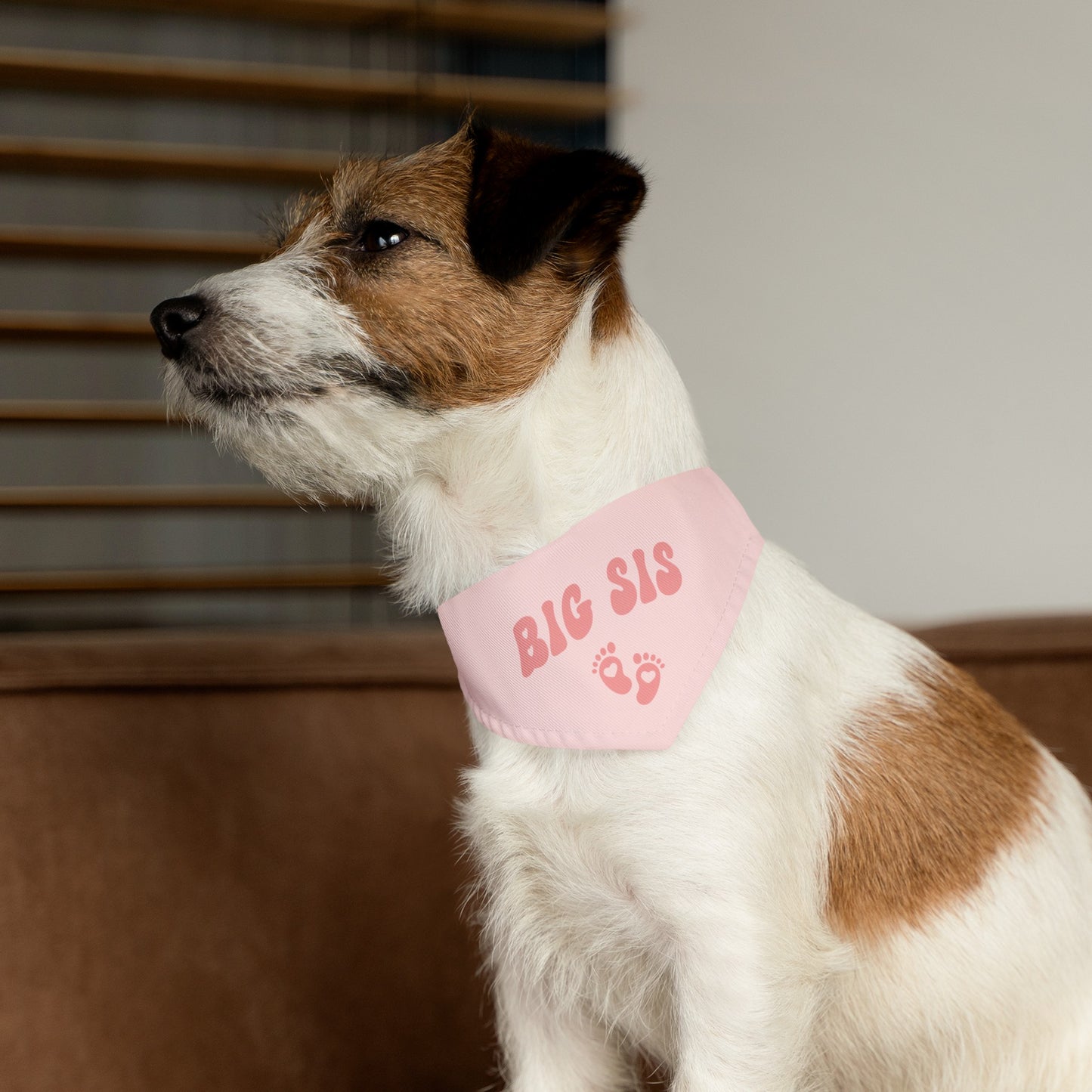 Big Sis Bandana Collar