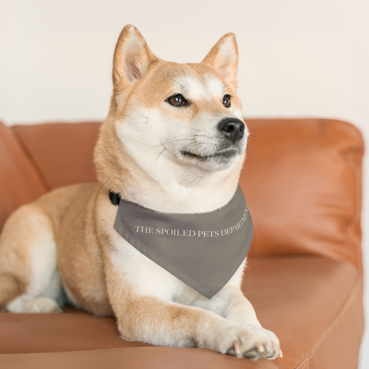 Spoiled Pets Department Bandana Collar
