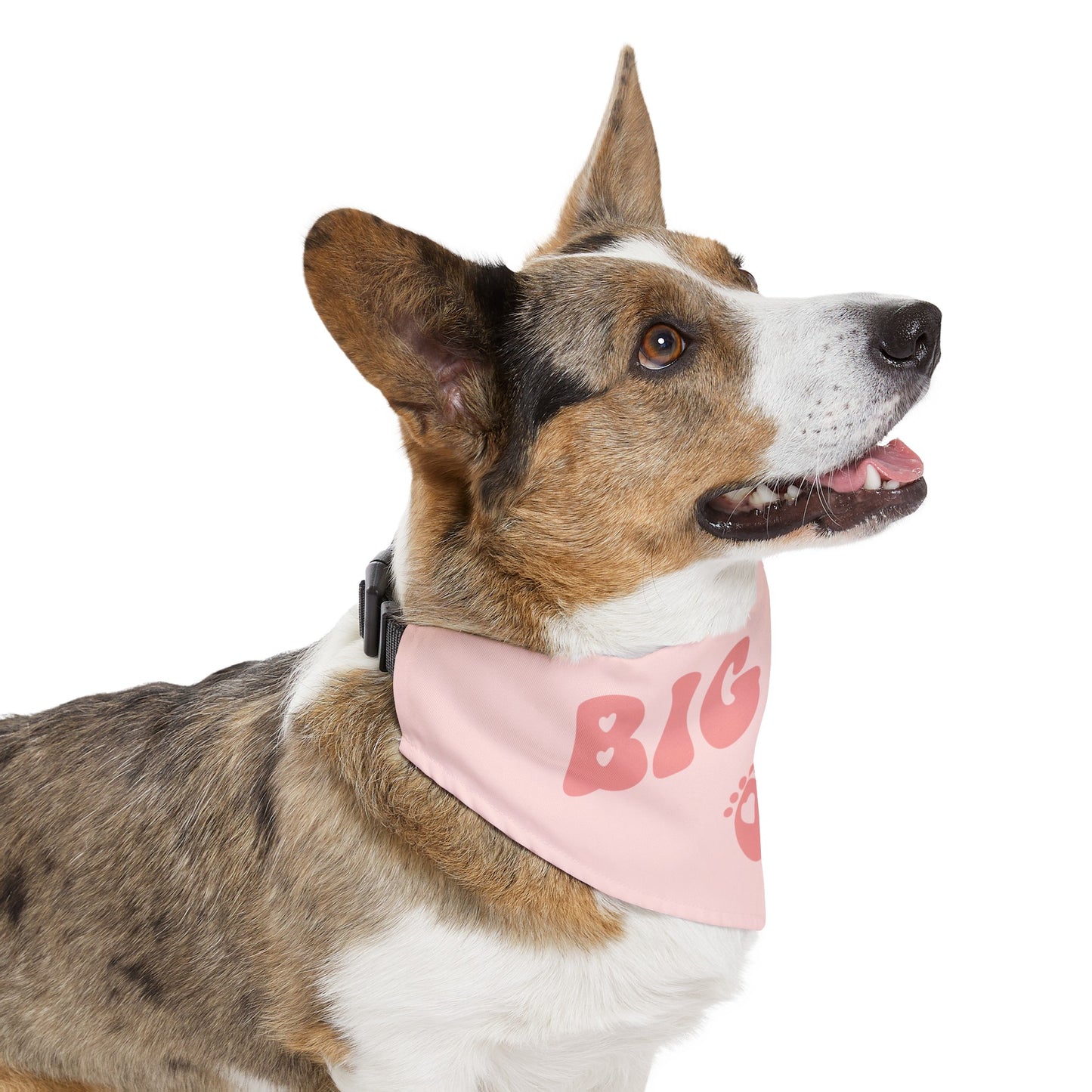 Big Sis Bandana Collar