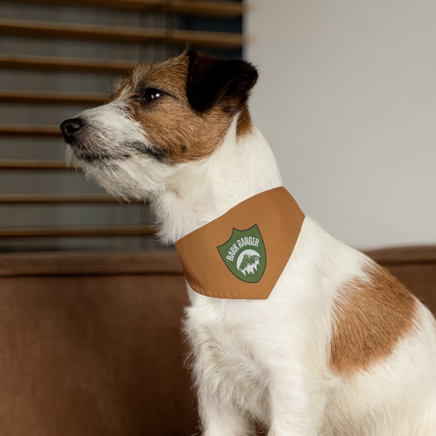 Bark Ranger Bandana Collar