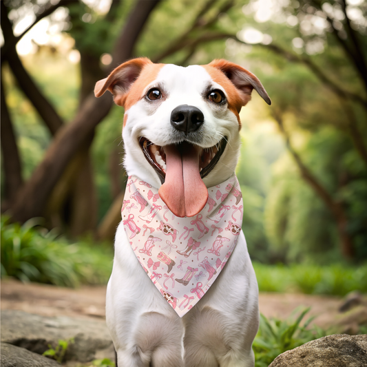 Coquette Cowgirl Bandana Collar
