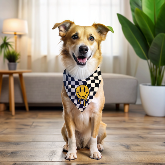 Retro Checkered Bandana Collar