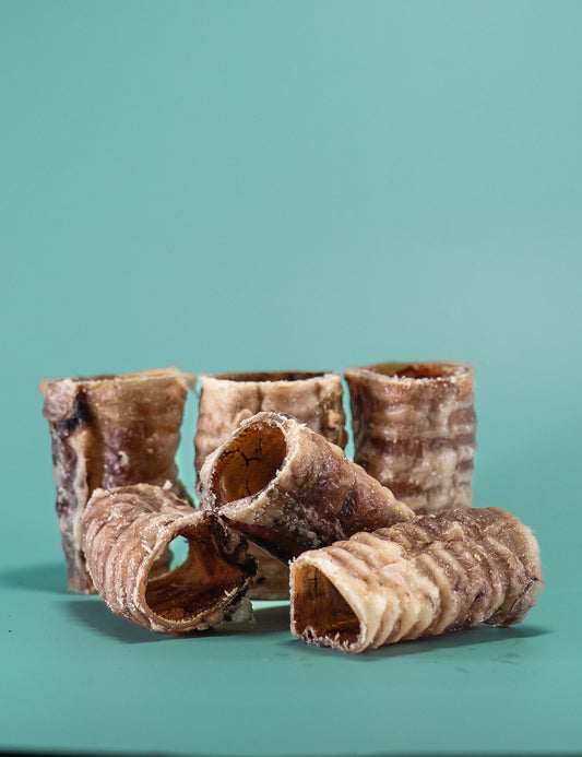 Rue's Mini Chews