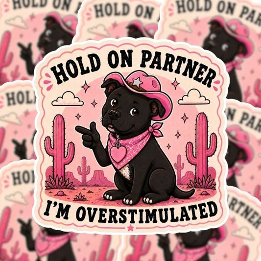 Hold On Partner Sticker
